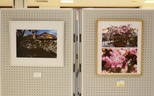 2016.11.29.-12.10.ギャラリーちばな『うるま市文化協会写真部展』_02